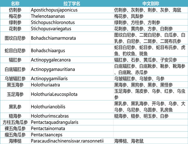 海參進口報關(guān)代理