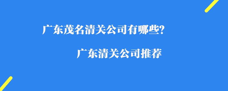 廣東茂名清關(guān)公司有哪些？廣東清關(guān)公司推薦