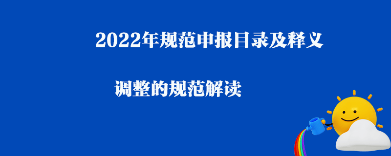 2022年規范申報目錄及釋義_調整的規范解讀