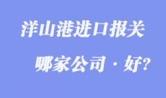 洋山港進(jìn)口報(bào)關(guān)公司哪家好?