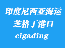 印度尼西亞海運港口：芝格丁（cigading）港口