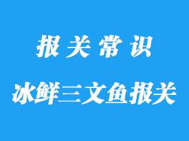 挪威進口冰鮮三文魚機場清關方案