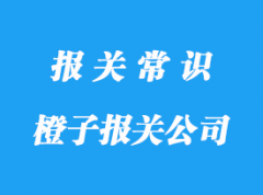 上海進口橙子報關公司:南非等國家橙子清關注意事項